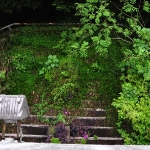 rojin 90013.jpg
